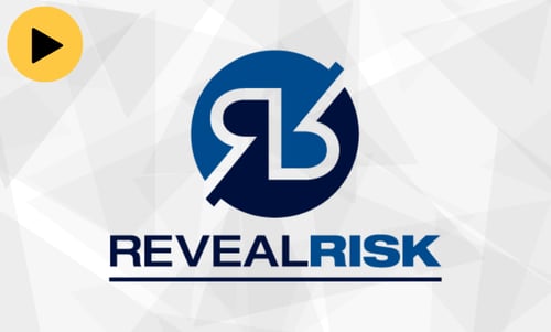 Reveal Risk - 2025 M&A Cybersecurity Considerations Podcast
