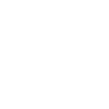 Custom Reporting Icon