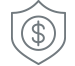 Fraud-Protection-Icon